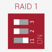RAID1 классическое зеркало, но результирующий объем пространства равен половине общего объема 2 дисков.